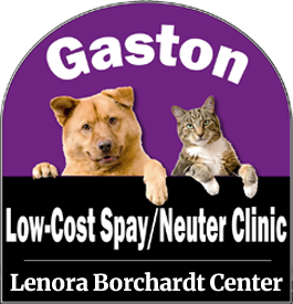 Home - Gaston Low-Cost Spay & Neuter Clinic