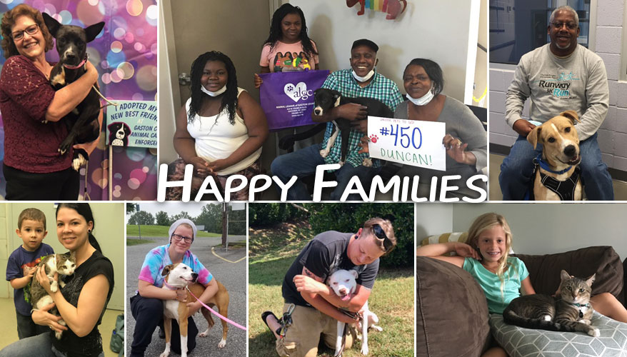 Shelter Pets To Go - Happy Families