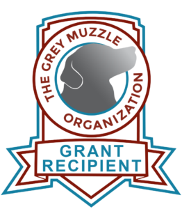 Grey Muzzle Organiztion Grantee