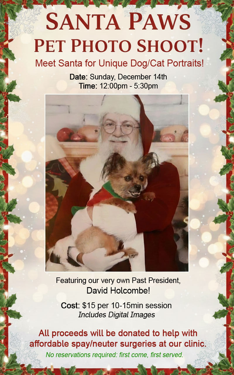 Santa Paws Photo Shoot